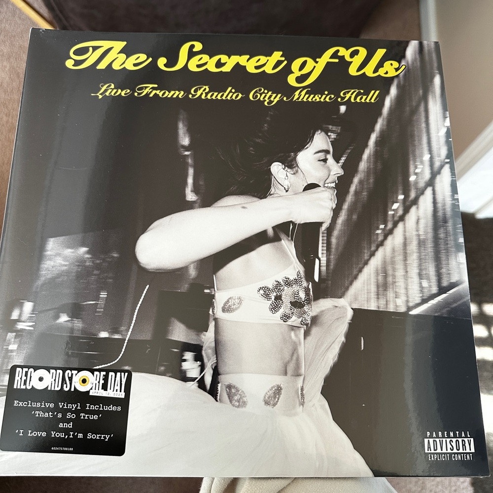 The Secret of Us Vinyl Record